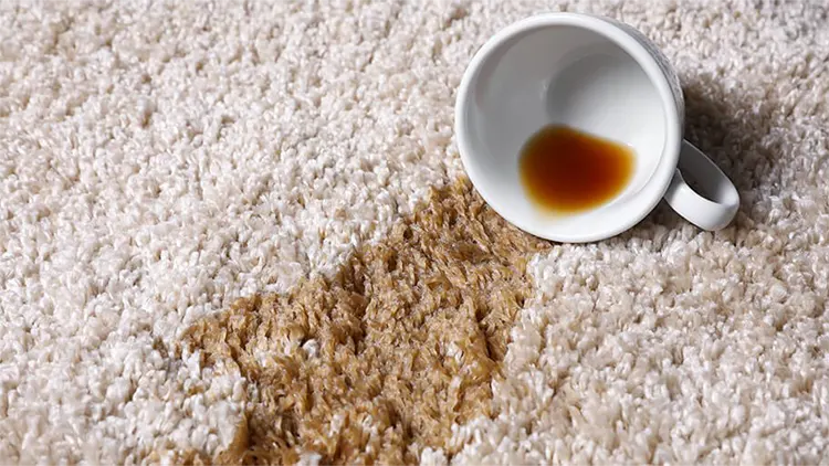 لکه چای روی فرش را چگونه پاک کنیم؟